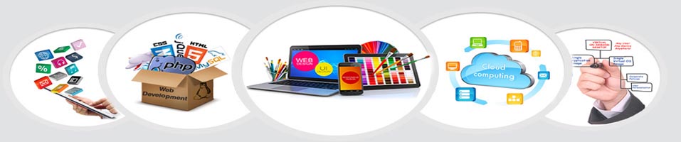 website design and development service